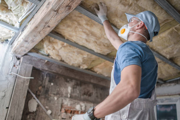 Best Insulation Installation Services in Piedmont, SC
